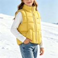 thumbnail image 3 of Stamzod Kids Clothes Boys Girls Puffer Vest Thick Warm Zip Up Jacket Sleeveless Winter Coat with Pocket Yellow E 5-6Years, 3 of 7