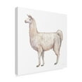 thumbnail image 2 of Trademark Fine Art 'Bohemian Cactus Llama' Canvas Art by Mary Urban, 2 of 4