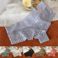 thumbnail image 5 of Women Hollow Lace Sexy Underwear Mesh Shorts Transparent Panties Cotton Briefs, 5 of 5