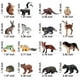 thumbnail image 4 of Figuras de animales del bosque SCAHOW, 16 unidades, para regalo de cumpleaños para niños, 4 of 6