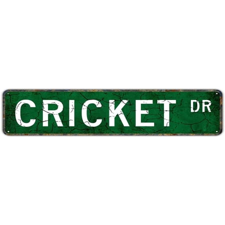 Cricket Cricket Gift Cricket Tin Sign Cricket Decor Cricket Expert Cricket Lover Insect Family Street Sign Vintage Rustic Retro Tin Sign 4 x16