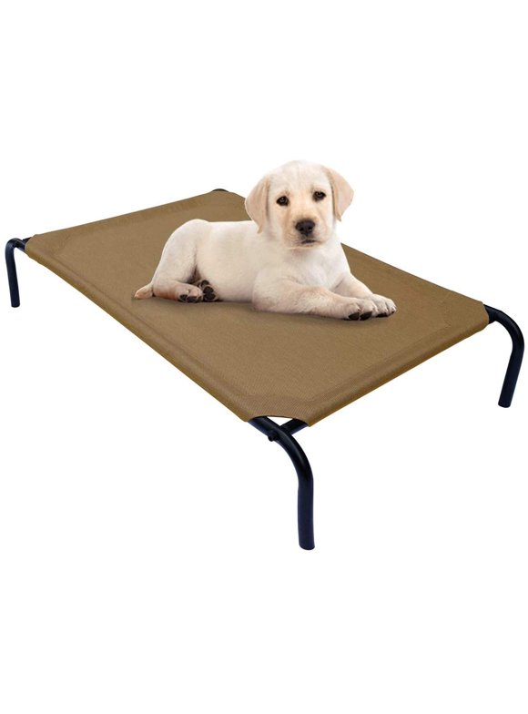 Elevated Dog Beds in Dog Beds