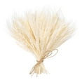 thumbnail image 2 of Ramo de trigo seco con tallos de trigo secos para decorar mesas. Beige, 2 of 9