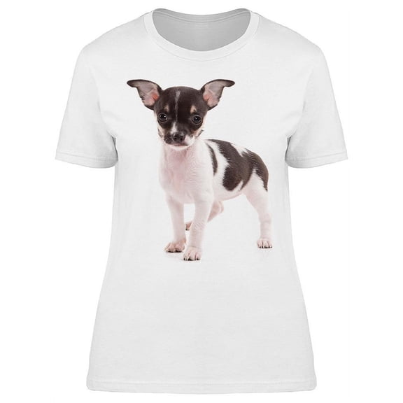 Cute Chihuahua, Staring T-Shirt Women -Image by Shutterstock, Female XX-Large