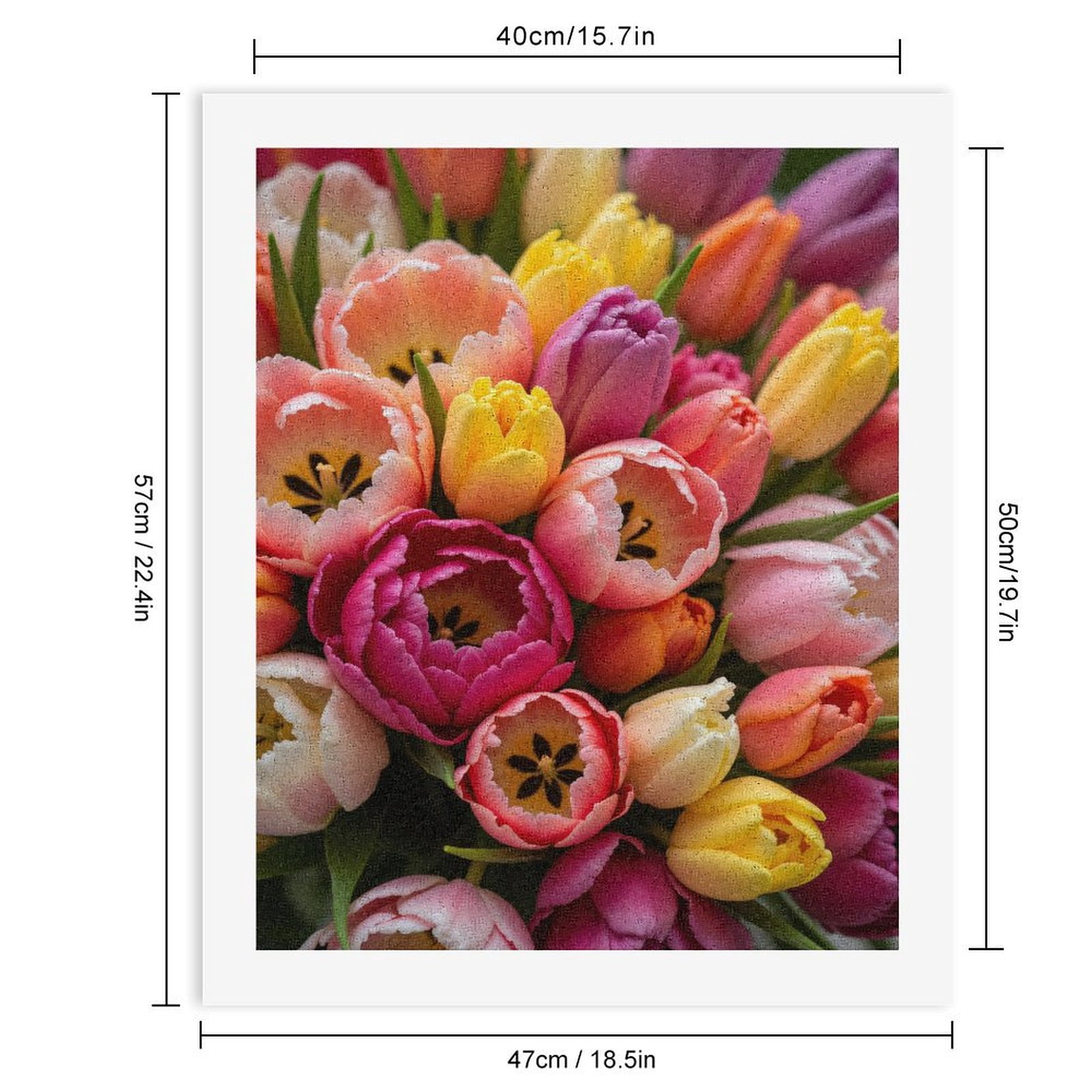 Paint by Numbers Kit for Adults, Vibrant Spring Tulip Bouquet Paint by Numbers, Easy Paint by Numbers Kit for Adults Beginner, DIY Adult Paint by Number Kits on Canvas, 12x16in Home Decor