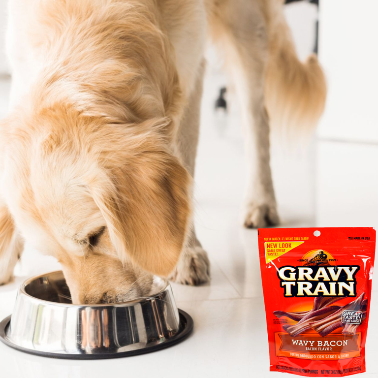 Gravy Train Wavy Bacon Dog Treats Made with Real Beef All Natural