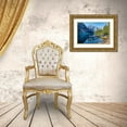 thumbnail image 3 of Delimont, Danita 32x23 Gold Ornate Wood Framed with Double Matting Museum Art Print Titled - Banff Canoe Dock, 3 of 4