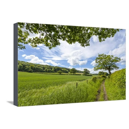 A Beautiful Day Along the Chiltern Walk, the Chilterns, Buckinghamshire, England Stretched Canvas Print Wall Art By Charlie (Best Day Walks In England)