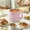Pink, variant on Dezin Electric Pot, 1.6L Ramen Cooker, Hot Pot Electric Stainless Steel, Multifunctional Electric Cooker for Egg, Pasta, Soup, Porridge, Oatmeal with Temperature Control and Keep Warm Function