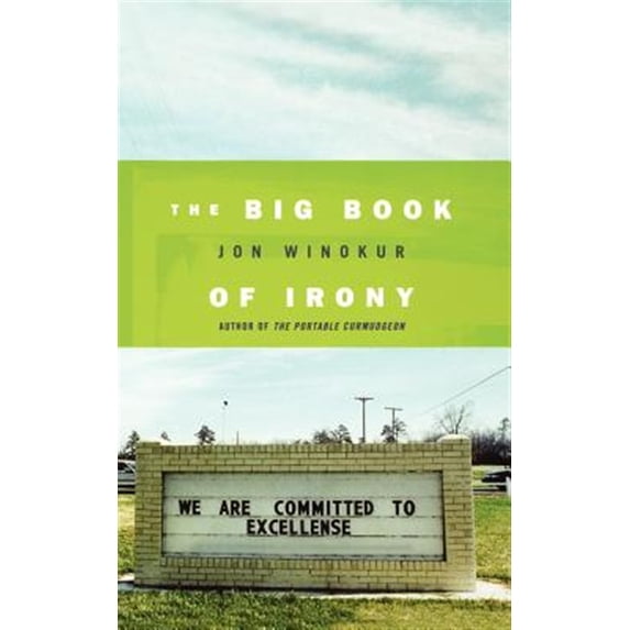 Pre-Owned The Big Book of Irony Paperback