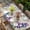 Beige, variant on Spring Flowers Table Cloths for 5 Foot Rectangle Tables, Watercolor Garden Florals Wooden Grain Patio Waterproof Elastic Fitted Tablecloths, Washable Rectangular Table Cover for Camping