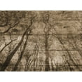 thumbnail image 2 of Lewis, Sheldon 24x19 Black Ornate Wood Framed with Double Matting Museum Art Print Titled - Up Into The Woods, 2 of 4