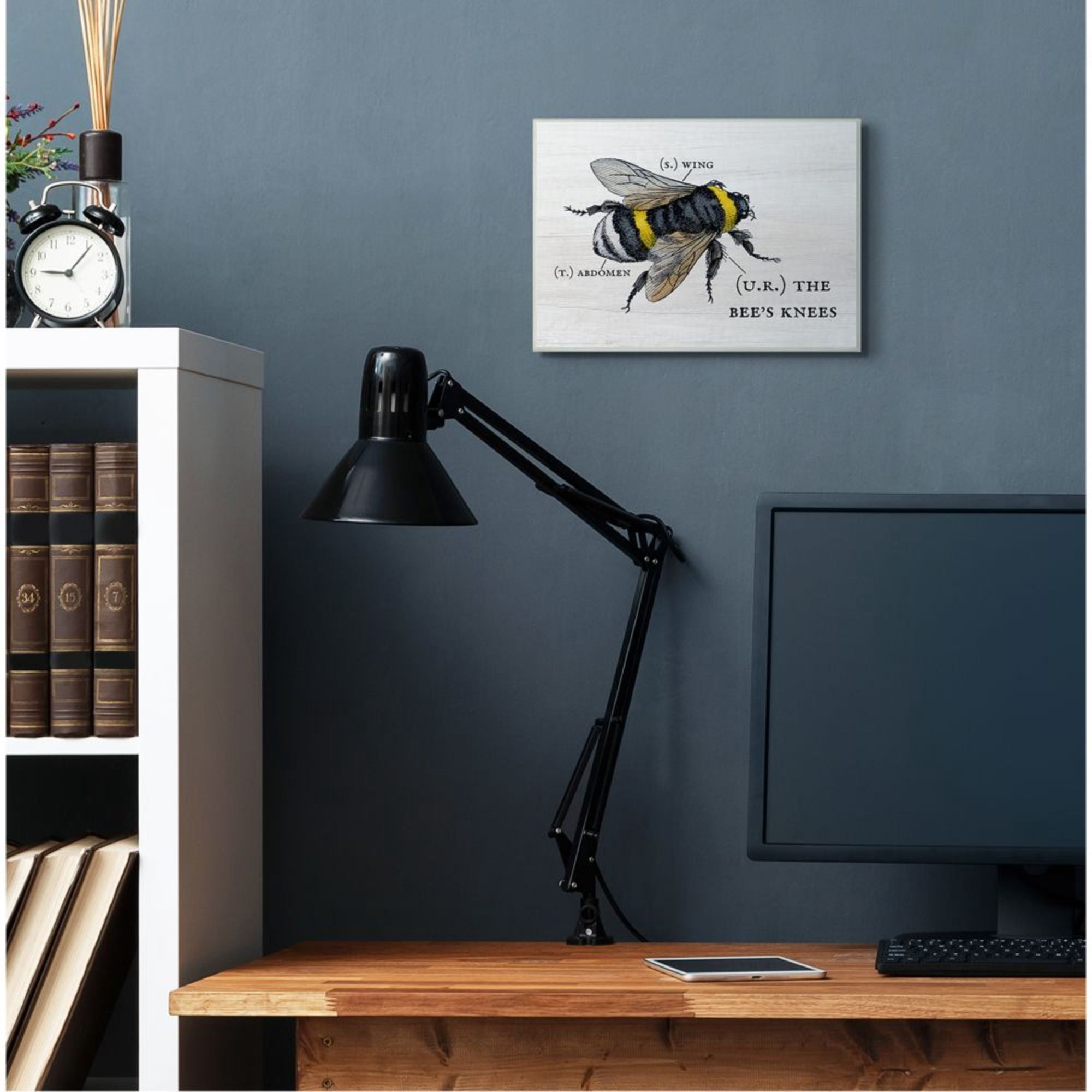Stupell Industries Anatomy of Honey Bee Pun Charming Bee's Knees Design by Daphne Polselli
