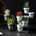 thumbnail image 6 of Topwoner 3 Sets Of Iron Succulent Flower Pot,Tabletop Plante,Gift Idea for Home & Office, 6 of 11