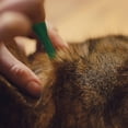 thumbnail image 3 of Perro mascota antipulgas ácaros garrapatas gotas cachorro gatito tratamiento Control de plagas, 3 of 3