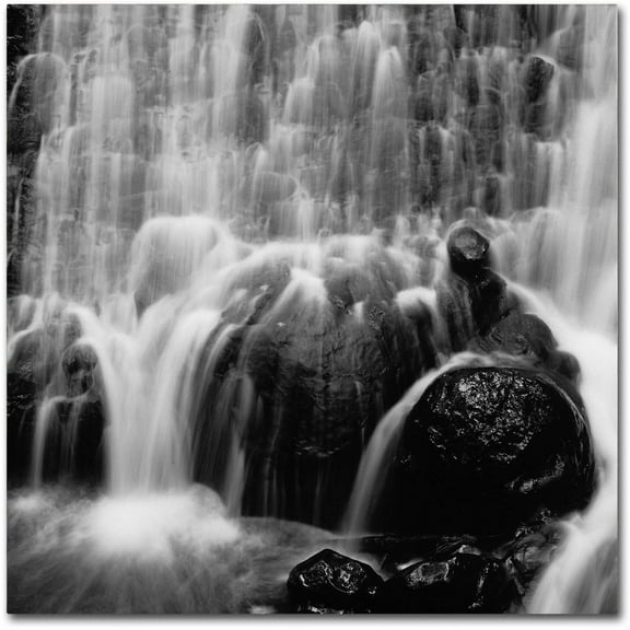 Trademark Fine Art "Velo de Novia" Canvas Art by Moises Levy