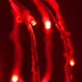 thumbnail image 4 of Wintergreen Lighting 20" LED Red Christmas Light Ball Sphere Light, Fold-Flat Red Metal Frame, 4 of 6