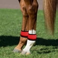 thumbnail image 4 of LED Horse Ankle Bands - 4 Pieces Safety Leggings, Flexible 4 Modes Horse Ankle Straps | Abrasion-Resistant PVC LED Horsess Leg Bands for Night Riding Trail Road Parade Farm Stable Ranch Stall, 4 of 9