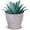 Pearl White, variant on Headwind Natural Ironstone Timberline Collection - 6" Slate Grey Decorative Planter for Outdoor Pots for Plants – Modern Indoor Plant Pots, Large & Small Planters for Indoor Plants by Robert Allen