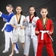 thumbnail image 2 of Uniformes de entrenamiento de Taekwondo bordados impresos de manga larga a rayas de algodón de manga corta para niños y adultos uniformes de entrenamiento de otoño e invierno, 2 of 3
