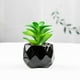 thumbnail image 5 of Plantas suculentas artificiales Kearding 4 Uds decoración de balcón Rosa del desierto, 5 of 6