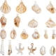 thumbnail image 1 of 1 caja de 44 dijes de concha marina, dijes de concha marina, colgantes de concha de mar, espiral de acrílico, estrella de mar, cauri, vida marina, océano, 1 of 6