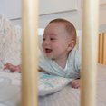 thumbnail image 3 of Lolli Living Safari Collection Fitted Crib Sheet - Animal Crakers, 3 of 4