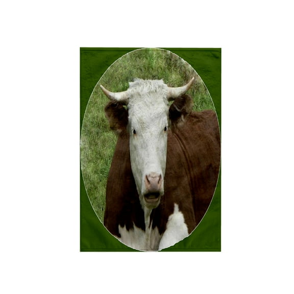 3dRose, Cow on the Farm, 15x22 Hand Towel