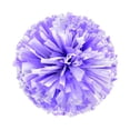 thumbnail image 1 of TOWED22 Cheerleading Handheld Colorful Flower Event Sports Performance Activities Cheering Supplies Colorful Lightweight Soft Finger Ring Buckle Design Anti Slip Off(H), 1 of 4