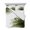 Green, variant on Sage Green Twin Size Down Alternative Comforter, Lightweight Comforter Quilt Bedding Set with Pillow Shams Boho Modern Floral Abstract Ombre Leaf White All Seasons Bed Comforter Duvet Insert 68"x86"