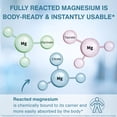 thumbnail image 2 of Igennus Superior Triple Magnesium Complex, Fully Reacted & Chelated Glycinate, Taurate & Citrate, Clean Label, High Bioavailability & Absorption, 60 Tablets, Vegan, Non-Buffered, 2 of 9