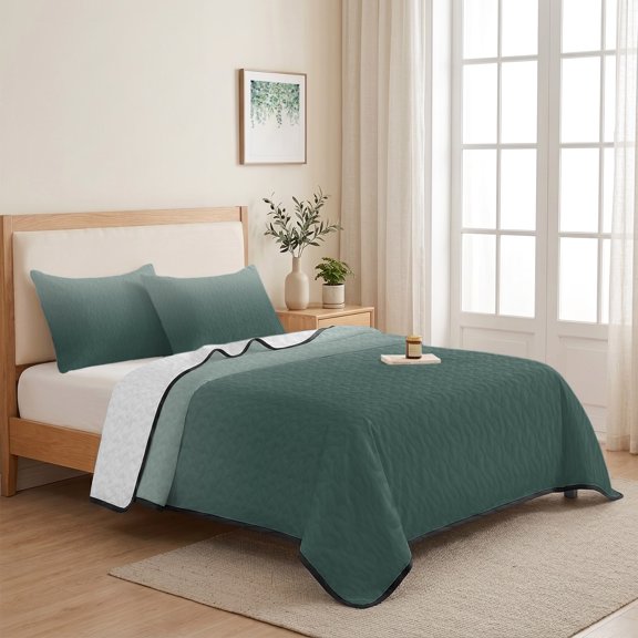 Abstract Color Gradient 3 Pieces Quilt Set,1 Quilt with 2 Shams,Ombre Art Bedspread Soft Lightweight Bedding Coverlet Comforter Set for All Season 68"x98"