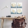 thumbnail image 2 of Maritime Seashells Ocean Beach Life Animals & Insects Graphic Art Unframed Art Print Wall Art, Set of 4, 2 of 7