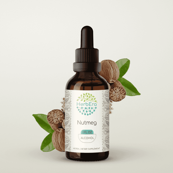 HerbEra Nutmeg Tincture, Herbal Dietary Supplement for Digestive Support, Nutmeg (Myristica fragrans) Dried Nut Extract, Natural, Alcohol Tincture, Drops 2 oz