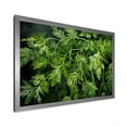 thumbnail image 2 of Designart "Herbal Pottery Delights II" Floral Framed Wall Art Decor - Traditional Green Herbs Hallway Framed Wall Art Decor, 2 of 6