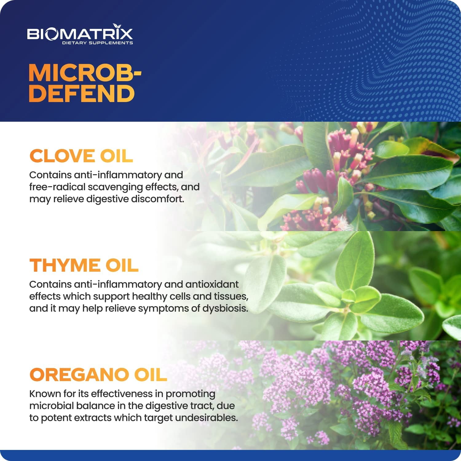BioMatrix Oil Blend of Thyme, Oregano, Clove, GI Repair Softgels | Microb-Defend Supplement (90 Capsules)
