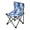 Watercolor Blue Flowers, variant on 600D Oxford Camping Chair Portable Foldable Chair Supports 220 lbs for Picnic, Fishing, Backpacking Red Chrysanthemum and Dandelion