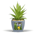 thumbnail image 1 of Pot de Fleurs Ananas Faux Image de Photographie de Chiot Mini Décor, 1 of 3