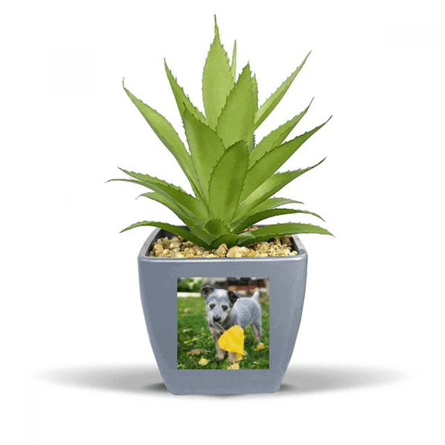 Pot de Fleurs Ananas Faux Image de Photographie de Chiot Mini Décor