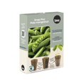 thumbnail image 1 of TASC Franchis de graines - PEA SNAP (6 / PKG), 1 of 1