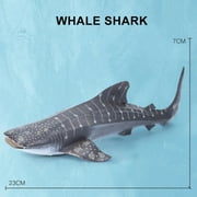 Simulation Marine Sea Life Whale Figurines Shark Cachalot Action Figures Ocean Animal Model Dolphin Hammerhead Educational Toys