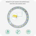 thumbnail image 5 of Brillar Luz de crecimiento de anillo de ángel, luz de anillo de crecimiento de plantas con enchufe USB, lámpara de crecimiento de plantas de interior - Promueve el crecimiento de las plantas, 5 of 5