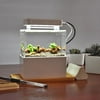 WUZSTAR Mini Acrylic Fish Tank,Aquarium Tank Bowl for Office Business Home White