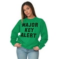 thumbnail image 4 of Major Key Alert Rap Entrepreneur Unisex Plus Fleece Graphic Sweatshirt Brisco Brands 4X, 4 of 5