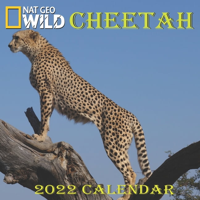 CHEETAH Calendar 2022 CHEETAH calendar 2022 "8.5x8.5" Inch 16 Months JAN 2022 TO APR 2023