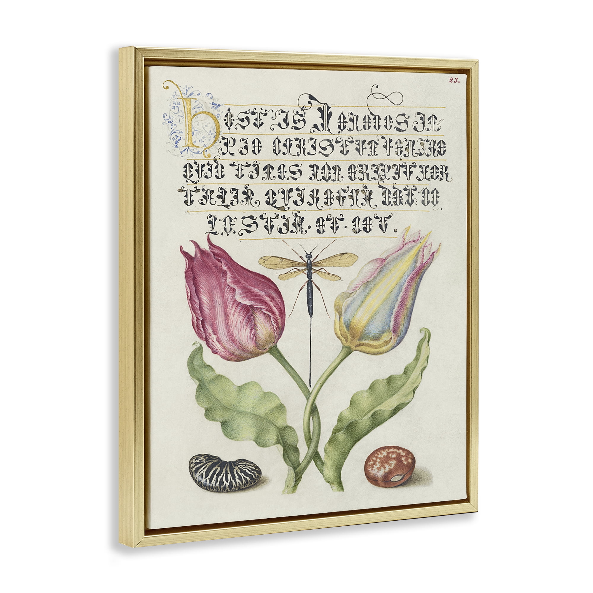 Stupell Industries Vintage Intertwined Flowers Text & Numbers Painting Gold Floater Framed Canvas Art Print Wall Art, 17 x 21