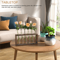 thumbnail image 4 of 2X Plant Terrarium with Wooden Stand, Desktop/Wall Hanging Live Plant Propagation Station  Glass Tubes, 4 of 6