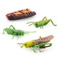 thumbnail image 1 of Alician Simulation Animal Life Growth Cycle Model Toys Kindergarten Teaching Aids Model Educational Toys For Children, 1 of 7