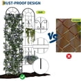 thumbnail image 6 of Riedhoff Metal Garden Trellis for Climbing Plants, 55.11“ x 11.81”, 2 Pack, Black, 6 of 7
