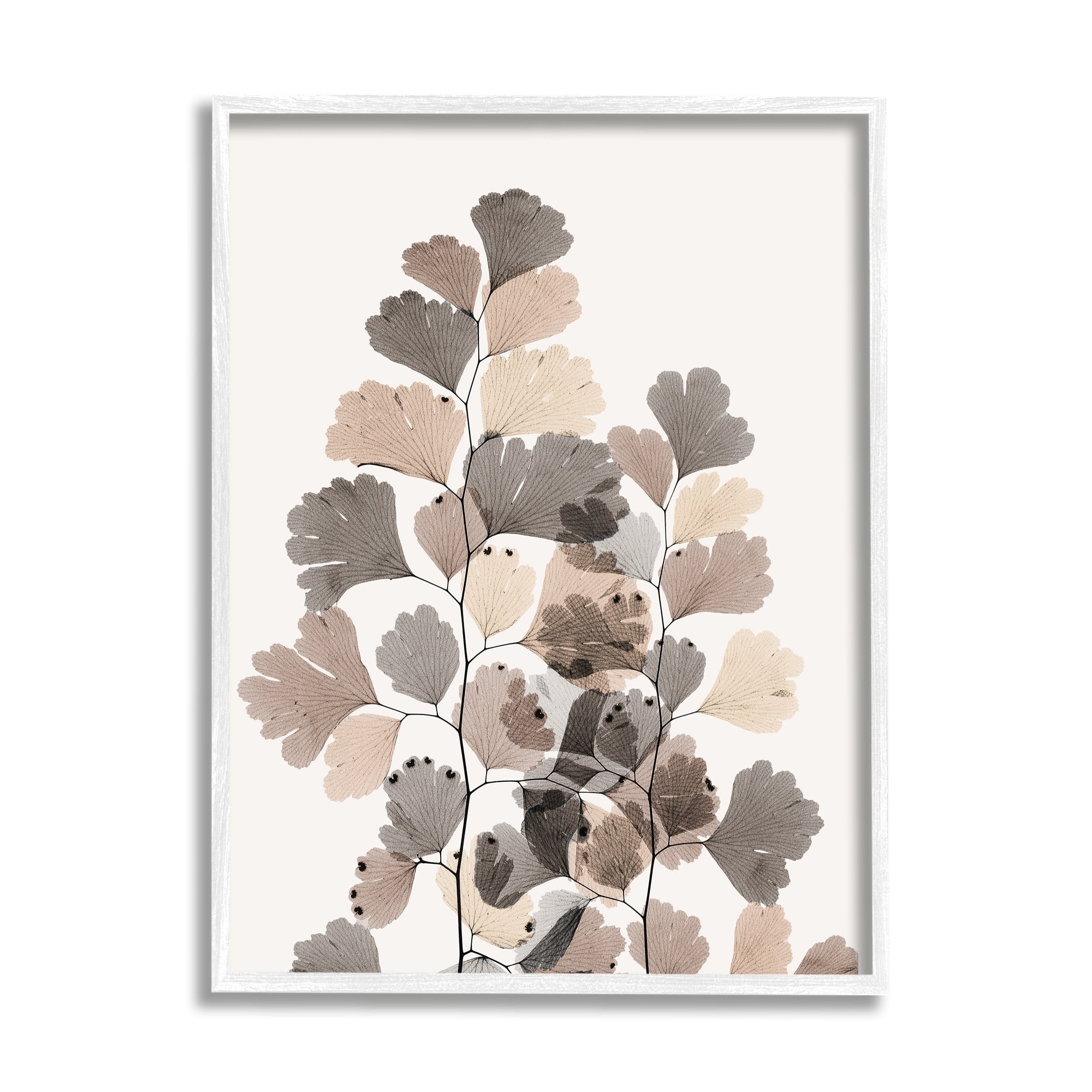 Stupell Industries Modern Ginkgo Leaf Arrangement Translucent Brown Grey Leaves, 24 x 30,Design by Albert Koetsier